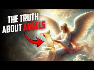 Angelnae brand concept design